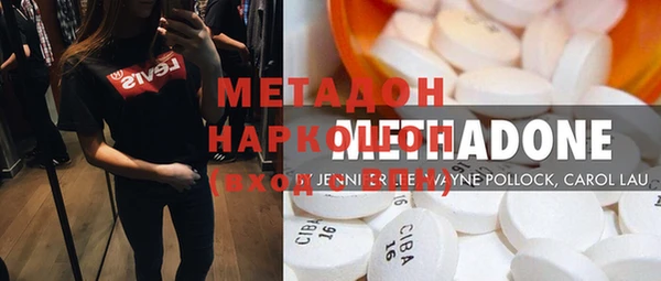 индика Алексин