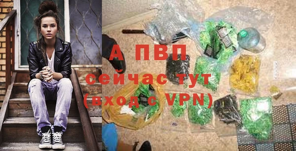 дживик Нефтекумск