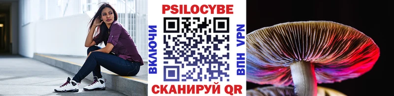 Псилоцибиновые грибы Psilocybe  Псков 