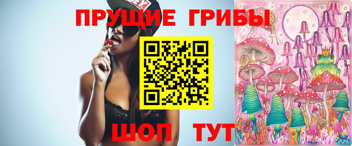 Псилоцибиновые грибы GOLDEN TEACHER Псков