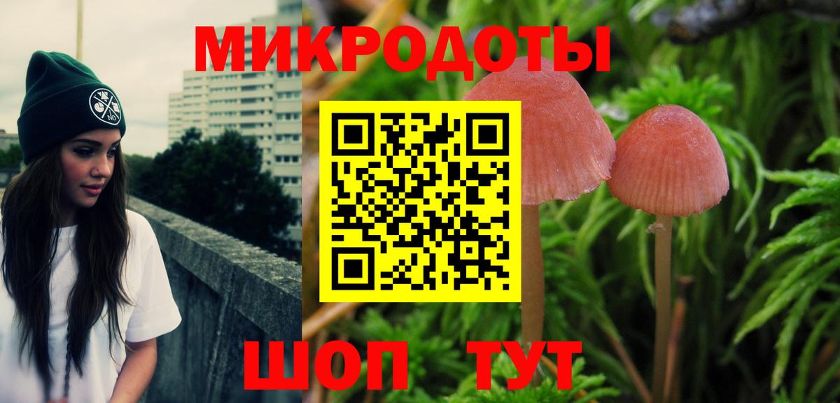 Псилоцибиновые грибы GOLDEN TEACHER  Галлюциногенные грибы Cubensis  Вход с VPN  Псков 
